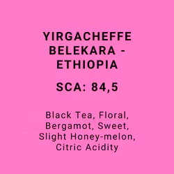 YIRGACHEFFE BELEKARA - ETHIOPIA