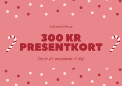 Kopia presentkort 300