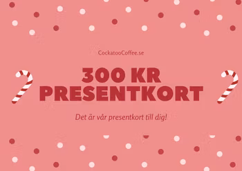 Kopia presentkort 300