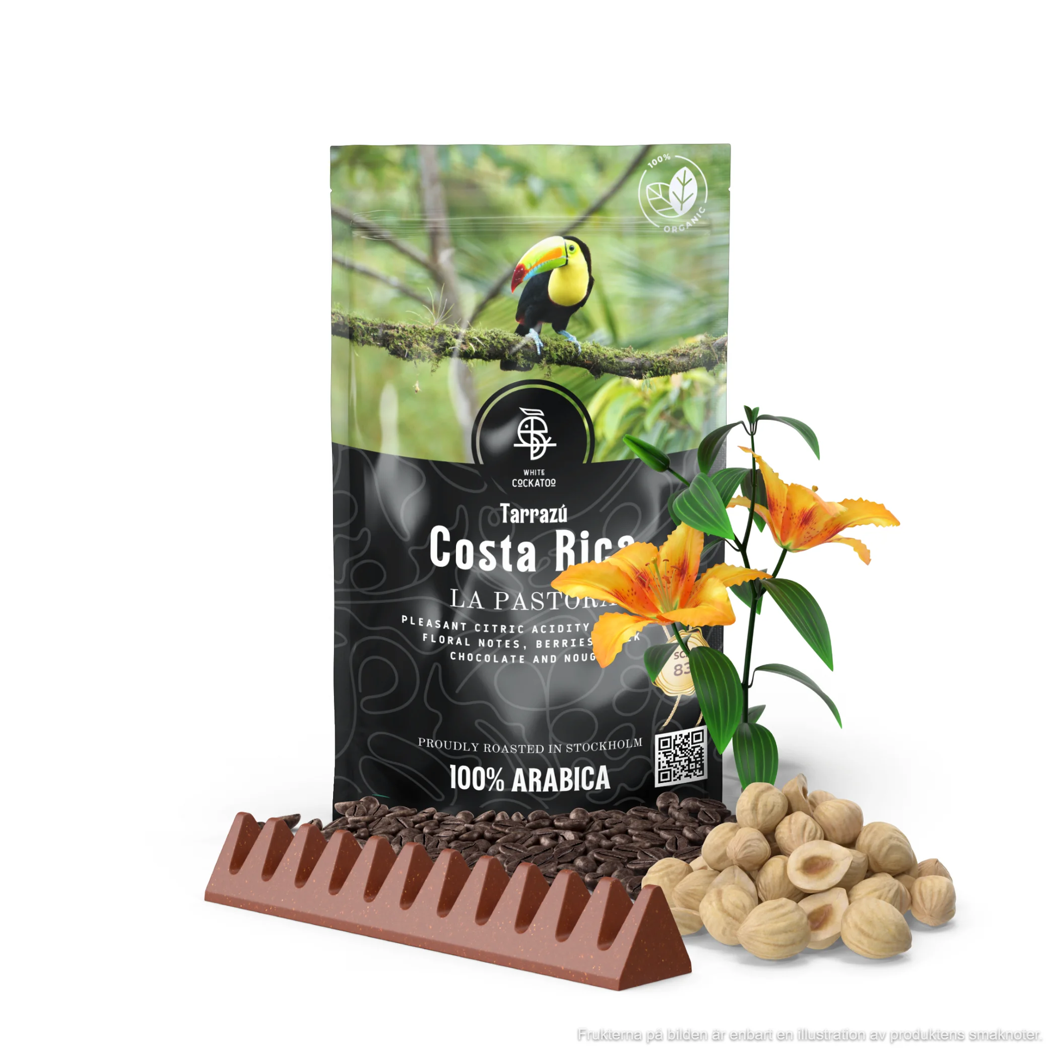 LA PASTORA TARRAZU - COSTA RICA