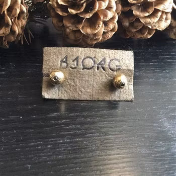 Björg Förgyllda silverörhängen