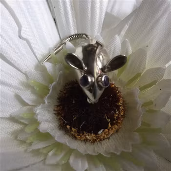Silverbrosch Mus