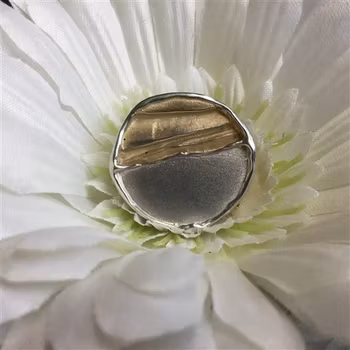 Silverbrosch