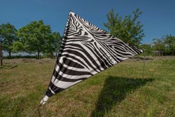 Bent Solseil Zebra