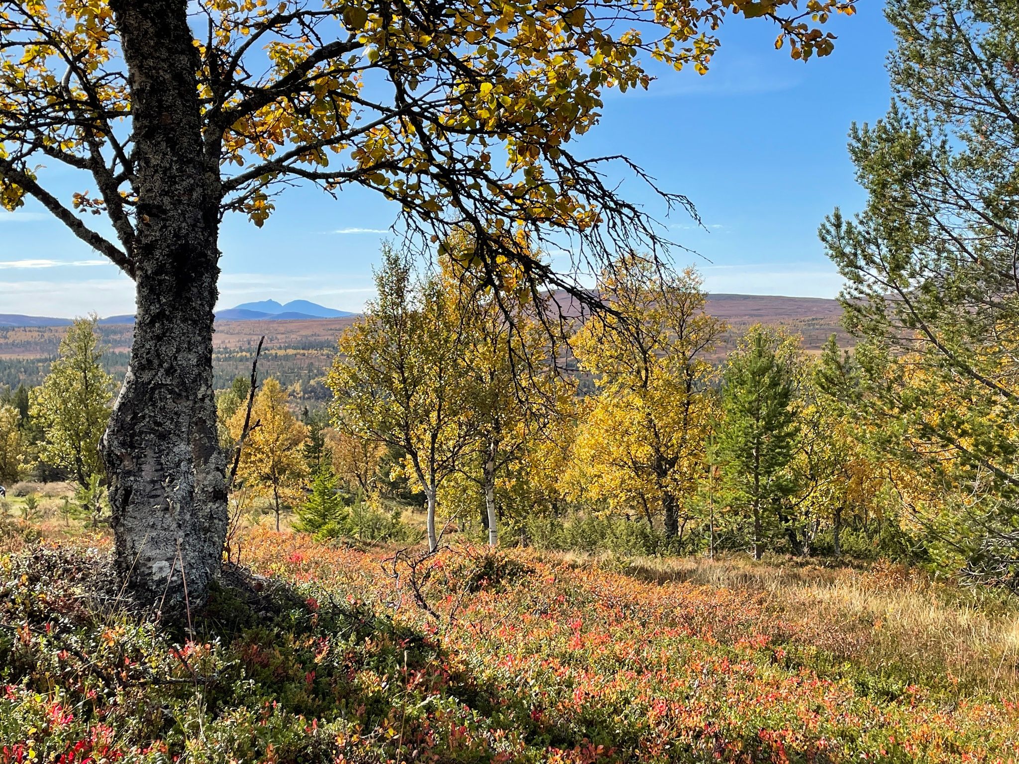 Grövelsjön, Dalarna