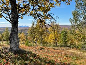 Grövelsjön, Dalarna