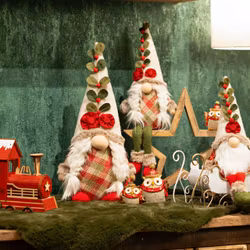 Tomte par färgglad