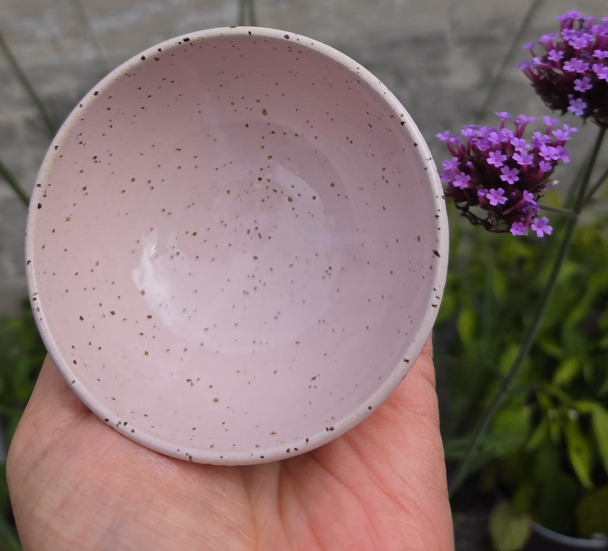 Skål/Rosa