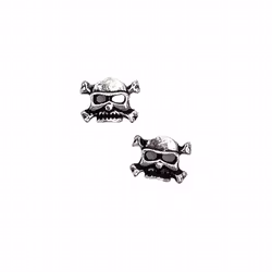 3D Skull