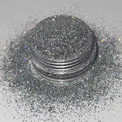 Reflective Silver Crown