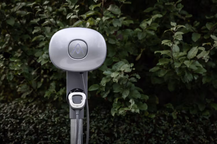 charge amps halo på stang