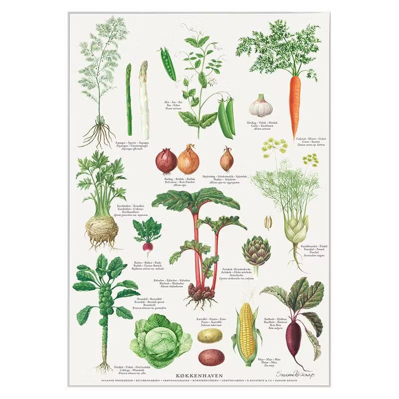 Plakater & kunstprint - Bellissima