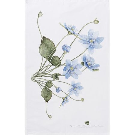 Blåveis kjøkkenhåndkle 70x48cm