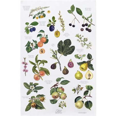 Frukt kjøkkenhåndkle 70x48cm