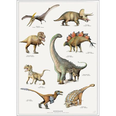 Plakat dinosaur A4