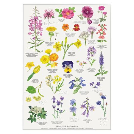 Plakat spiselige blomster A4 og A2