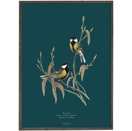 Kunstprint kjøttmeis A4 og A2