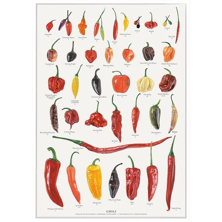 Plakat chili A4