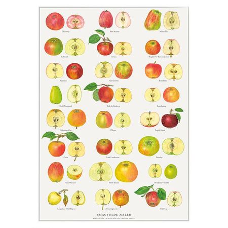 Plakat Epler A4 og A2