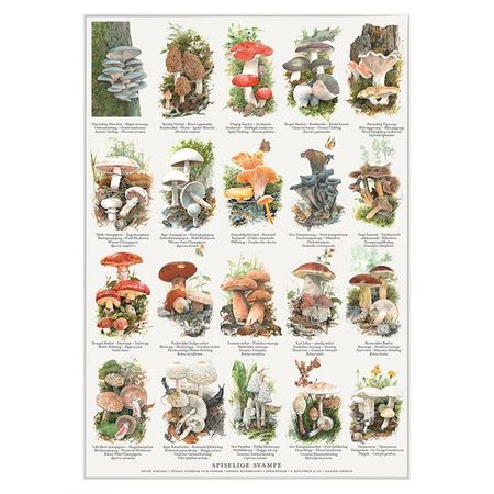 Plakat Spiselig sopp A4 og A2
