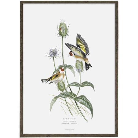 Kunstprint Stillits A4