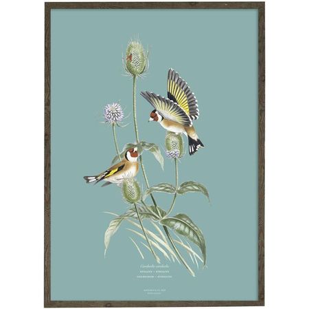 Kunstprint Stillits A4