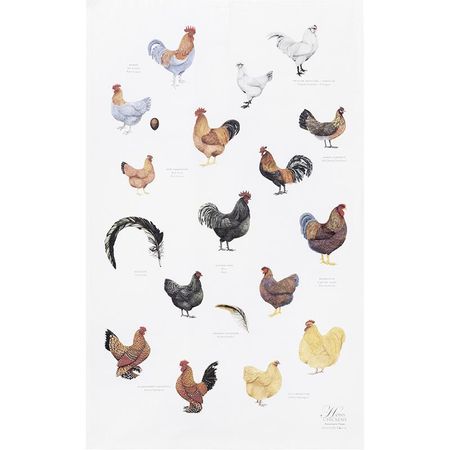 Høner kjøkkenhåndkle 70x48cm