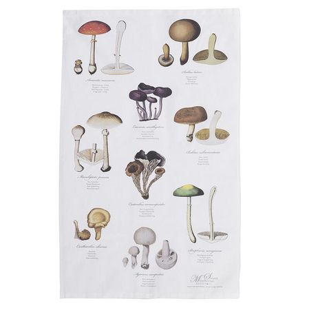 Sopp kjøkkenhåndkle 70x48cm