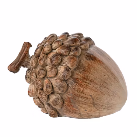 Eikenøtt, 11cm