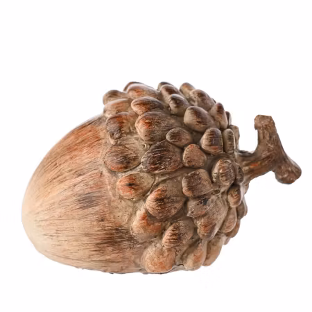 Eikenøtt, 11cm