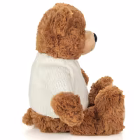 Bamse med genser, 30 cm