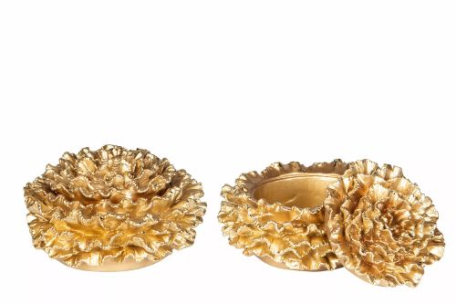 Ask Pion guld poly