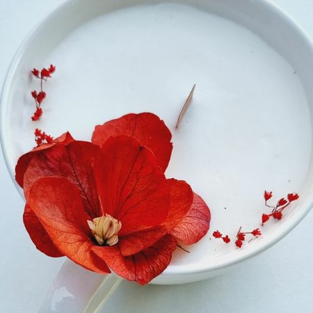 Hibiskus