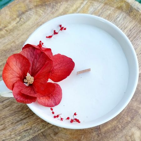 Hibiskus