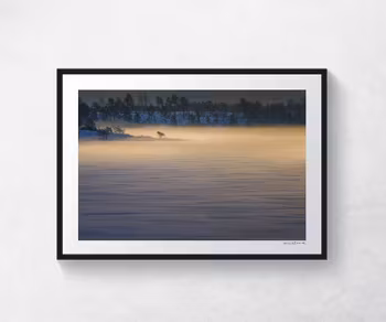 Morgondis vid Fröfjorden
