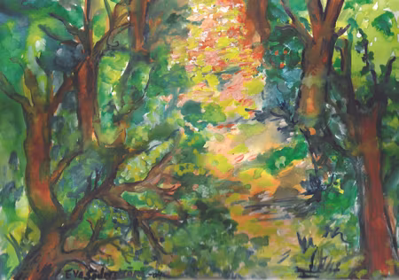 Natur 9