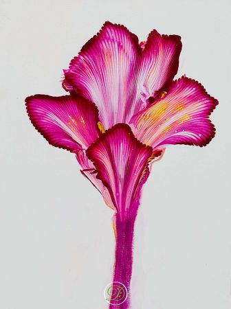 Pouringtavlan Flower