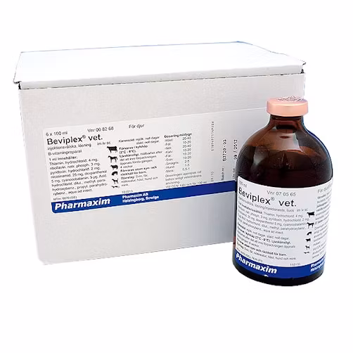 Beviplex vet. 6 x 100 milliliter Injektionsvätska, lösning