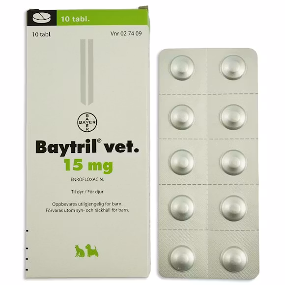 Baytril vet. 15 mg 10 styck Tablett