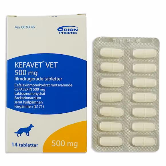 Kefavet vet. 500 mg 14 styck Filmdragerad tablett