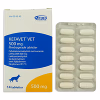 Kefavet vet. 500 mg 14 styck Filmdragerad tablett