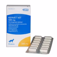 Kefavet vet. 500 mg 70 styck Filmdragerad tablett