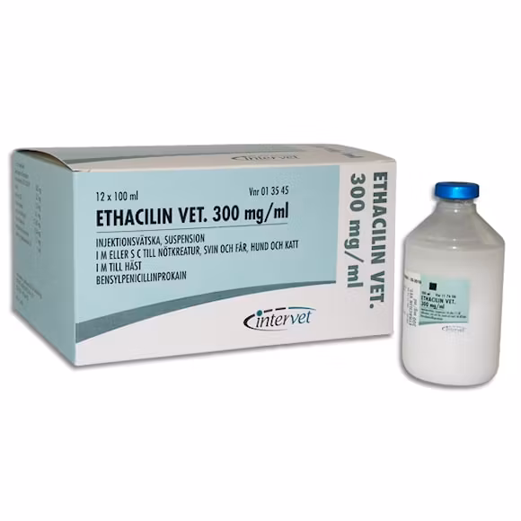 Ethacilin® vet. 300 mg/ml injektionsvätska, suspension 12 x 100 ml