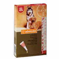 Advocate för stora hundar 250 mg/62,5 mg 3 x 2,5 milliliter Spot-on, lösning