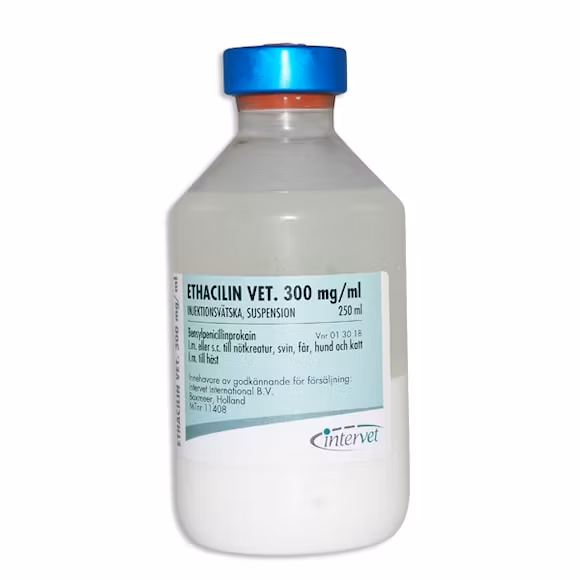 Ethacilin® vet. 300 mg/ml injektionsvätska, suspension 12 x 250 ml