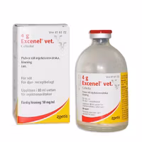 Excenel® vet. 4 gram