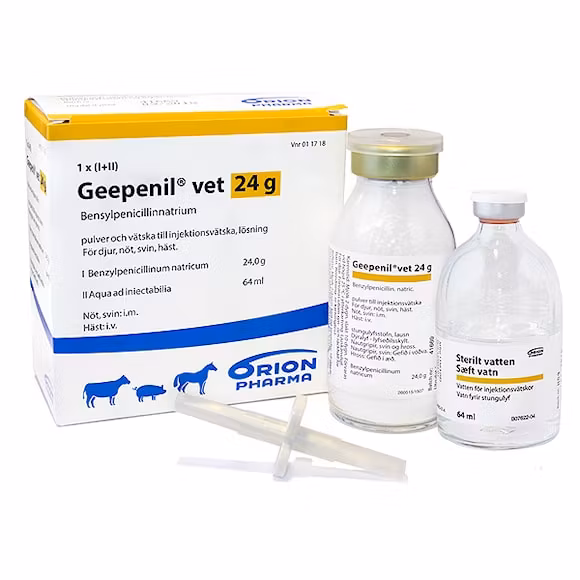 Geepenil vet., pulv och vätska till inj-vätska, lösning 24 g, 10 x 24 gram