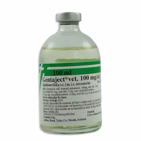 Gentaject vet., inj-vätska, lösning 100 mg/ml, 100 milliliter