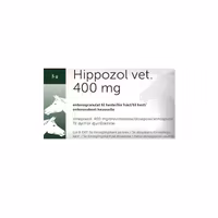 Hippozol Vet 400 mg Granulat 28x5 g