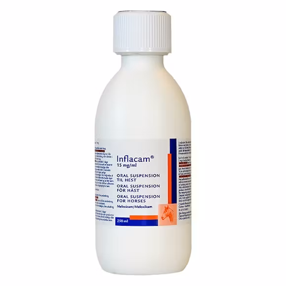 Inflacam, oral suspension 15 mg/ml, 250 milliliter